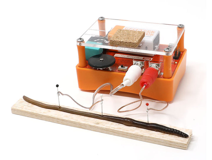 Neuron SpikerBox connected to an invertebrate recording preparation