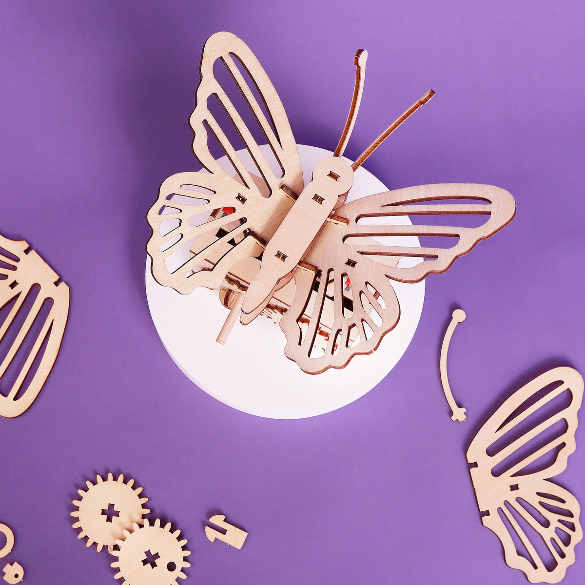 Kitsville ST024: Top view of wooden butterfly model