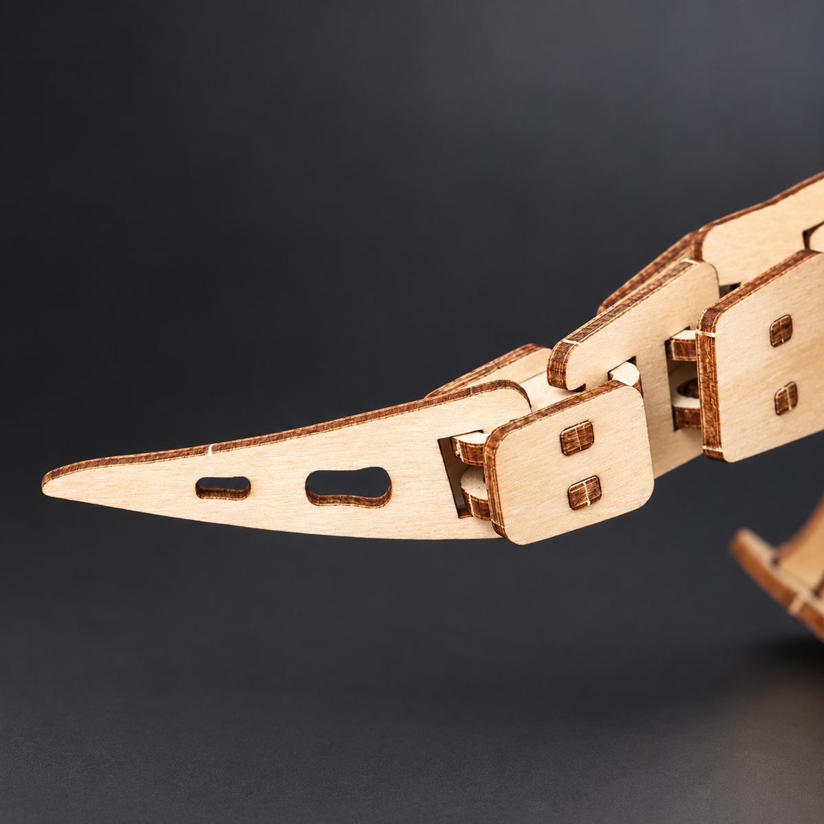 Kitsville ST078: Tail detail
