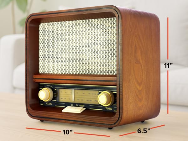 Fuse Audio RAD-V1 AM/FM Bluetooth Radio