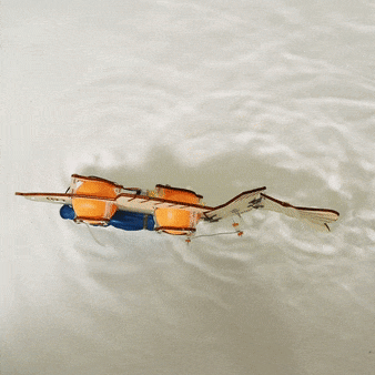 Kitsville ST021: Fish robot demonstration in water