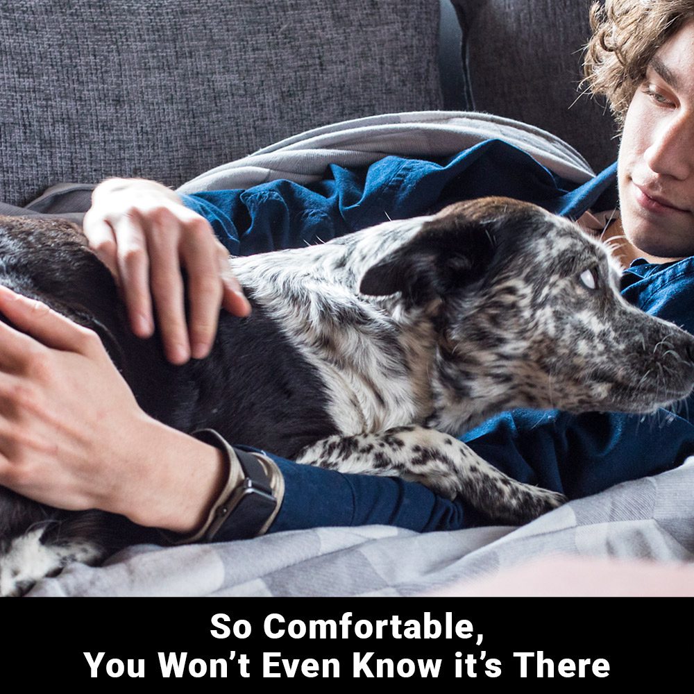 SYB Wrist Band worn while relaxing with a dog